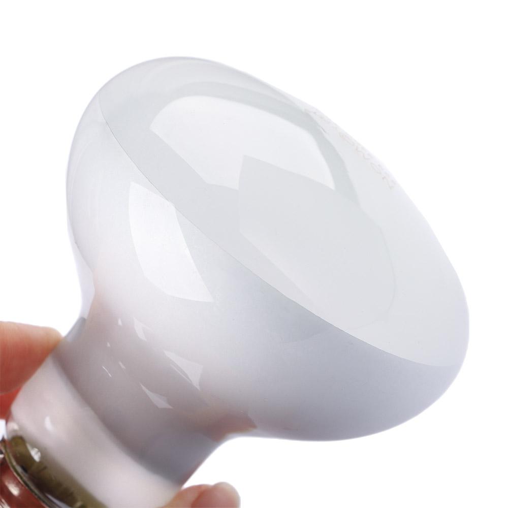 거북이 히터 열등 파충류 일광욕등 할로겐 전구 UVA  - Basking Bulb Halogen 리뷰 및 가격