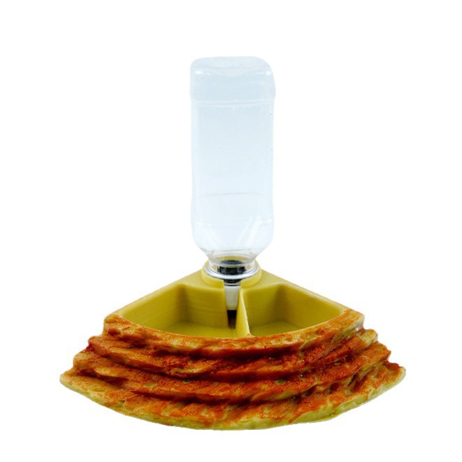 2 in 1 파충류 물컵 급수기, 크레스티드 게코, 자 - Water Dish Reptile 리뷰 및 가격