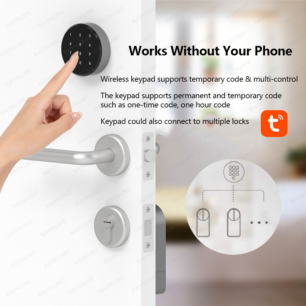 RAYKUBE A1 Pro Tuya BEL 스마트 도어 - Glass Door Hinge 리뷰 및 가격