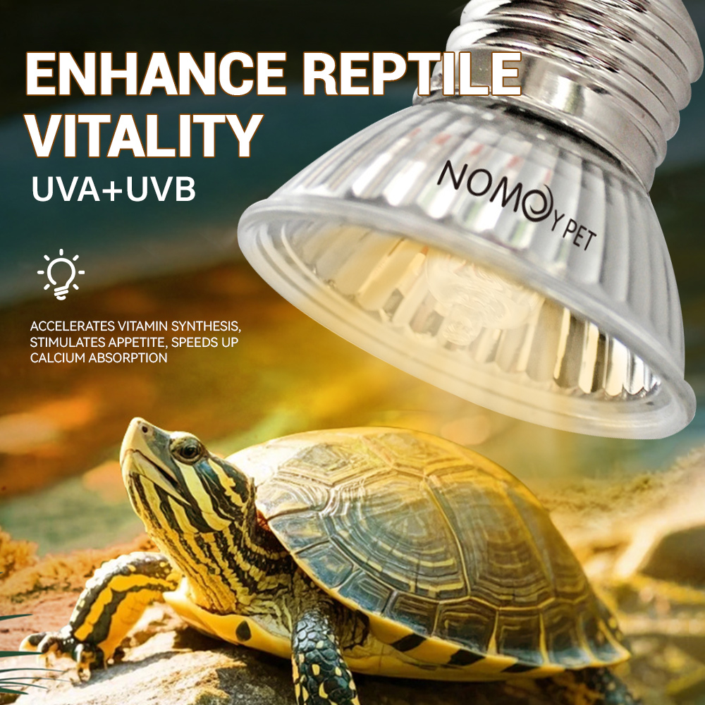 파충류 UVA UVB 50W 램프 비타민 D3 칼슘 흡 - Vitamin D3 Reptile 리뷰 및 가격