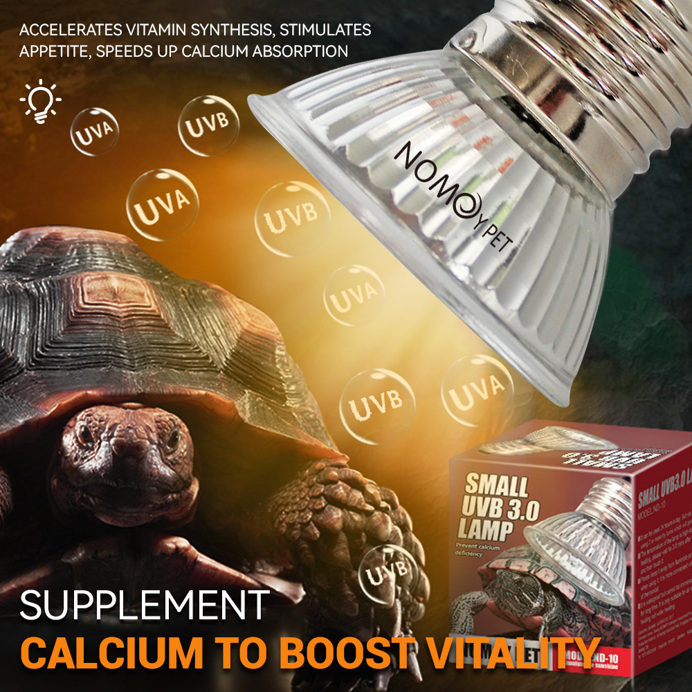 파충류 UVA UVB 50W 램프 비타민 D3 칼슘 흡 - Vitamin D3 Reptile 리뷰 및 가격