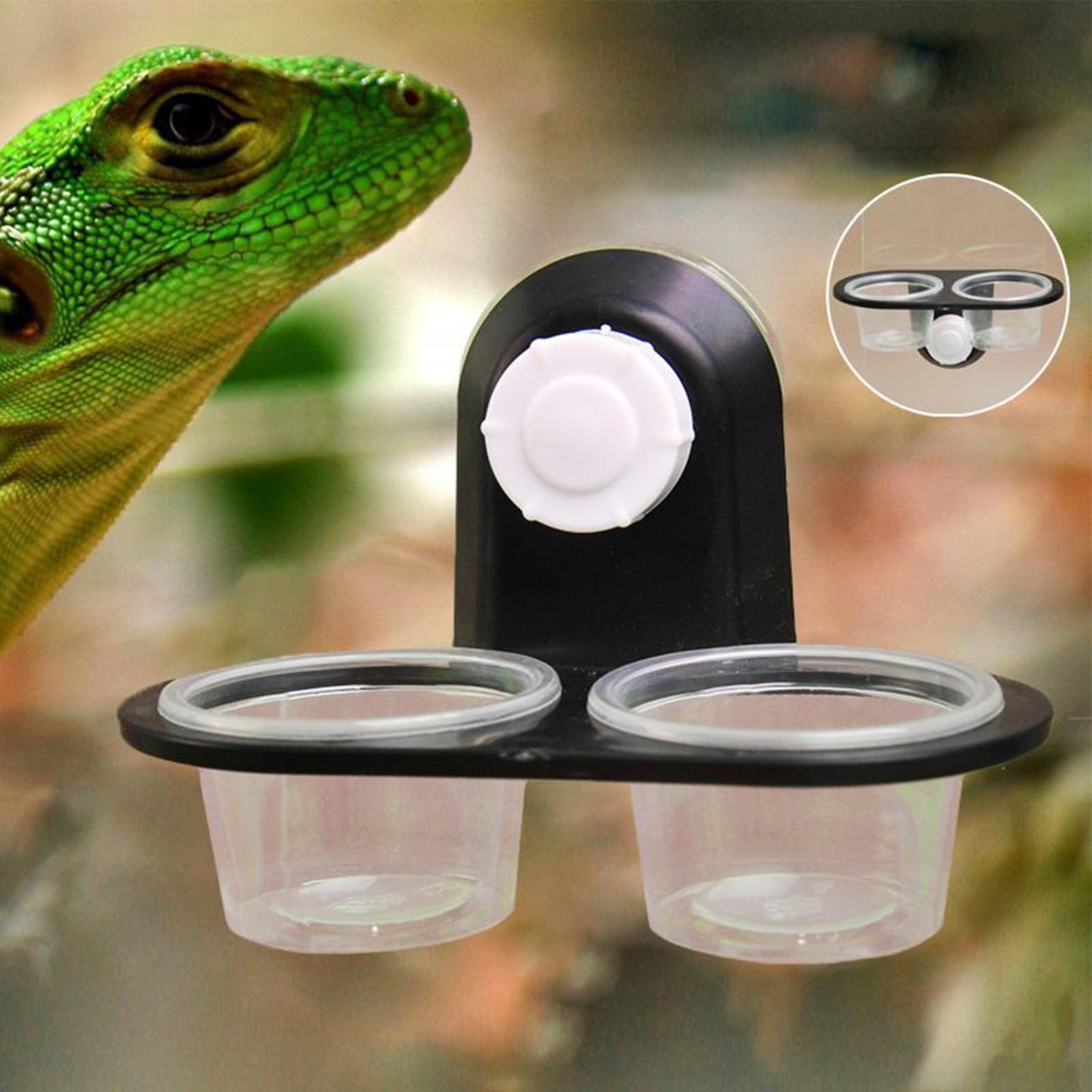 거북이 먹이통 받침대(분리형 흡착판 포함) - 도마뱀, - Water Dish Reptile 리뷰 및 가격
