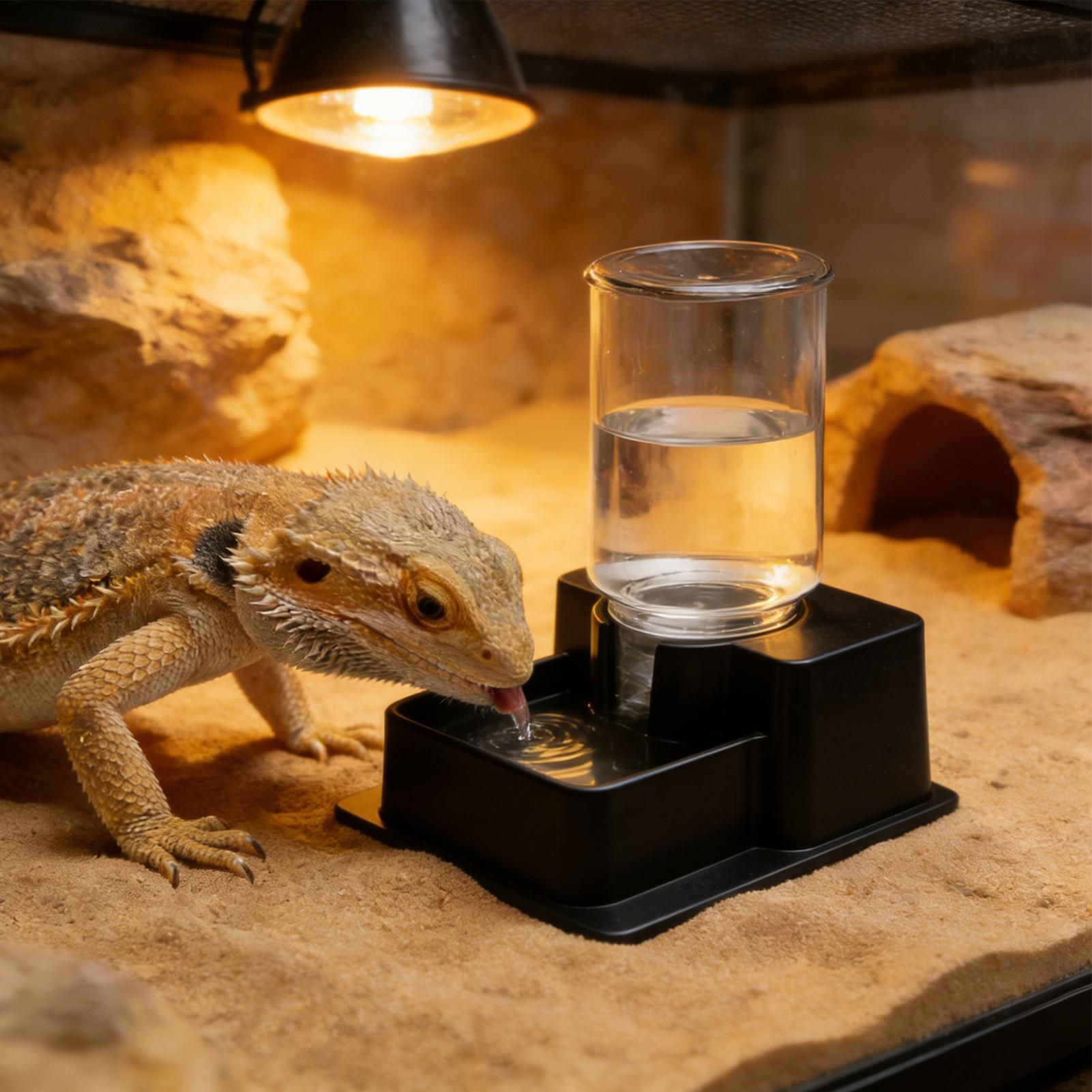 비어디드 드래곤 물 분수, 파충류 자동 급수기, 거북이 - Water Dish Reptile 리뷰 및 가격