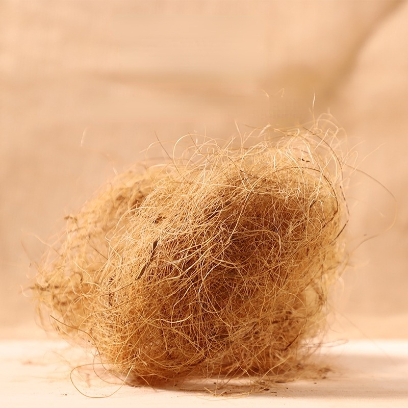 100g 핀치 코코넛 섬유 새 둥지 케이지를위한 느슨한 - Substrate Coconut Fiber 리뷰 및 가격